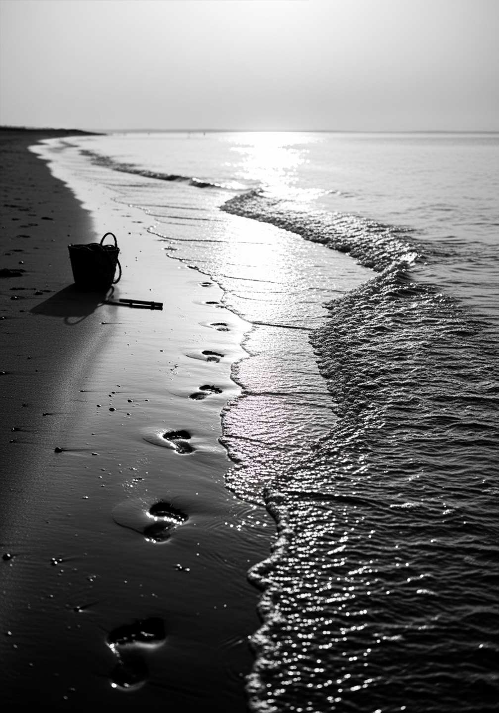 Black-and-white shore, thin edge of foam and long horizon.